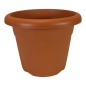 Maceta inyección terracota
ø30cm superior
ø 19cm inferior altura: 23cm