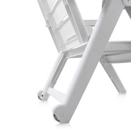 TUMBONA CAIMÁN BLANCA