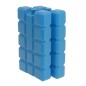ACUMULAD.HIELO ICE PACK 750 GR 11X4X20CM