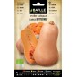 Calabaza Anquito Butternut - Ecológico