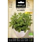 Menta Piperita - Ecológica