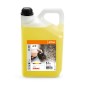 DETERGENTE PARA PIEDRA Y FACHADAS CS 100 DETERGENTE PARA PIEDRA Y FACHADAS CS 100