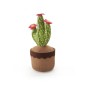 SUJETA PUERTA TEXTIL CACTUS INOFIX 1KG