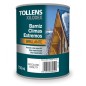BARNIZ CLIMAS EXTREMOS BRILLANTE TOLLENS