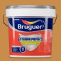 REVESTIMIENTO EXTERIOR PROTECT 15L
