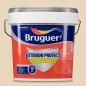REVESTIMIENTO EXTERIOR PROTECT 15L
