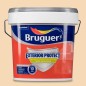 REVESTIMIENTO EXTERIOR PROTECT 15L