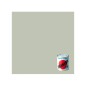 TITANLUX BRILLANTE GRIS PLATA 375ML