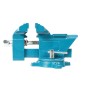 TORNILLO BANCO 100MM.RATIO