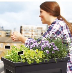 HUERTO URBANO VEG&TABLE CITY ANTRACITA