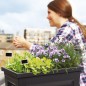 HUERTO URBANO VEG&TABLE CITY ANTRACITA