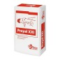 YESO PROYECTAR PROYAL XXI 20KG YESO PROYECTAR PROYAL XXI 20KG
