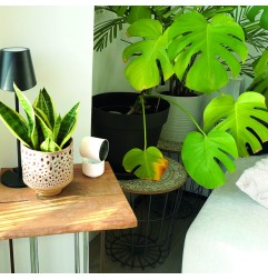 CÁMARA WIFI MOTORIZADA 4MP SENTINEL PRO