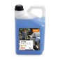 DETERGENTE PARA VEHÍCULOS CC 100 DETERGENTE PARA VEHÍCULOS CC 100