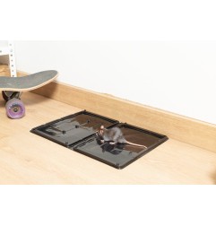 ROE-GLUE TRAMPA ADHESIVA PARA RATAS