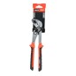 ALICATE PICO LORO (CANAL) 250MM RATIO BASICO