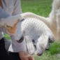 GUANTE P/CEPILLAR Y MASAJEAR MASCOTAS