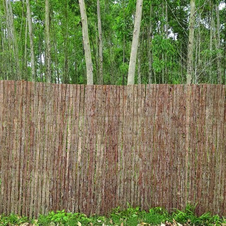 CORTEZA PINO NATURAL 1 CARA LISTA 3 METROS LARGO