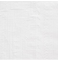 TOLDO PROTECTOR BLANCO GALGA 90GR