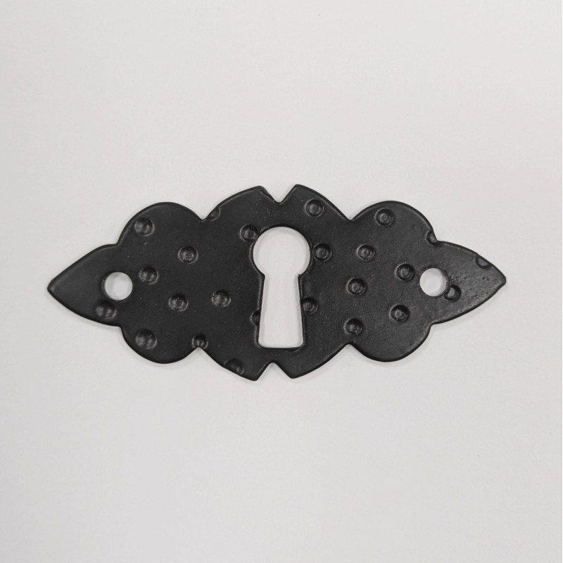 ESCUDO BOCALLAVE 65X25MM 90 HORIZONTAL