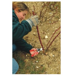 TIJERAS DE PODAR FELCO 10 ZURDOS STIHL