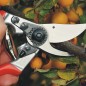 TIJERAS DE PODAR FELCO 10 ZURDOS STIHL TIJERAS DE PODAR FELCO 10 ZURDOS STIHL