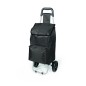 CARRO COMPRA AC-008 2 RUEDAS HABITEX CARRO COMPRA AC-008 2 RUEDAS HABITEX