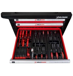 CARRO TALLER CON HERRAMIENTAS HOLZMANN WW770W
